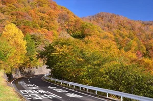 Stunning Autumn Views Along the Famous 48-Bend Scenic Road - image 0
