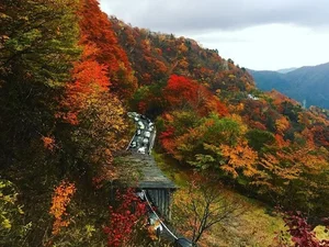 Stunning Autumn Views Along the Famous 48-Bend Scenic Road - image 3