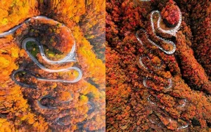Stunning Autumn Views Along the Famous 48-Bend Scenic Road - image 7