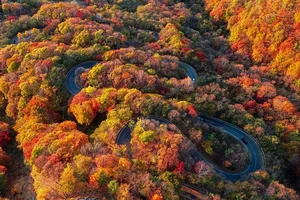 Stunning Autumn Views Along the Famous 48-Bend Scenic Road - image 6