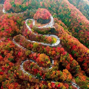 Stunning Autumn Views Along the Famous 48-Bend Scenic Road - image 2