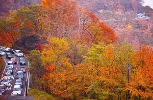 Stunning Autumn Views Along the Famous 48-Bend Scenic Road - image 10