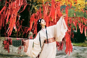 Beautiful Traditional Chinese Aesthetics: Qi Qi RY in Warring States Period Robe - YiTuYu Art Language Vol.9054 Collection - image 0