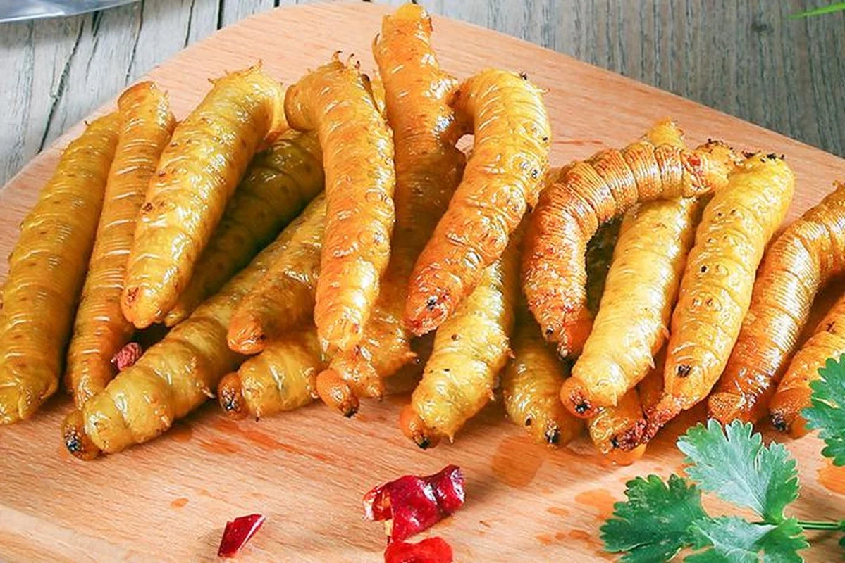 From Terrifying Pest to Culinary Delicacy: The World of Edible Caterpillars