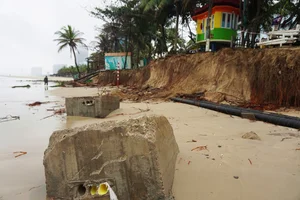Severe Coastal Erosion at Da Nang Beaches Environmental Impact Report - image 6