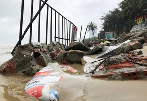 Severe Coastal Erosion at Da Nang Beaches Environmental Impact Report - image 5
