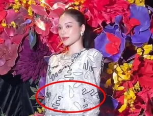 Tang Thanh Ha's Elite Family Rumors: Linh Rin's Stunning Appearance Sparks Pregnancy Talk - image 4