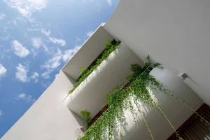 Cool West-Facing House Designs: 10 Real Examples to Beat the Heat - image 40