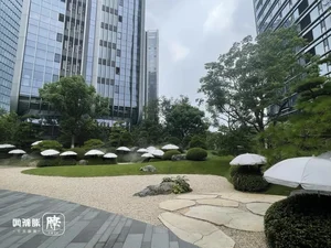 Behind the Scenes: Inside the Apartment Complex Spending a Fortune to Shade Trees - image 9