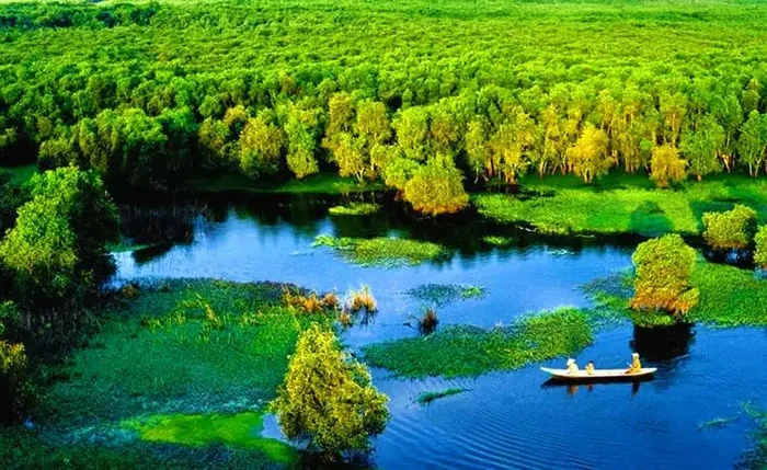 Exploring the Hidden Gems of the Mekong Delta: The Hometown of Nam Em and Hồ Văn Cường