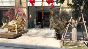 Inside the Lavish Life of Huan Hoa Hong: A Gilded Villa and a Hundred-Billion Business Empire - image 7