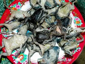 The Seasonal Delicacy: Discovering the Egg-Filled Fish Specialty of Vietnam and Thailand - image 1