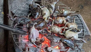 The Seasonal Delicacy: Discovering the Egg-Filled Fish Specialty of Vietnam and Thailand - image 4