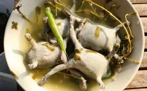 The Seasonal Delicacy: Discovering the Egg-Filled Fish Specialty of Vietnam and Thailand - image 3