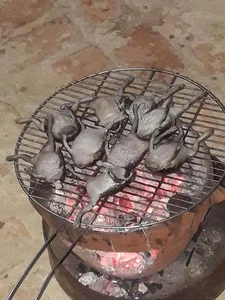 The Seasonal Delicacy: Discovering the Egg-Filled Fish Specialty of Vietnam and Thailand - image 7