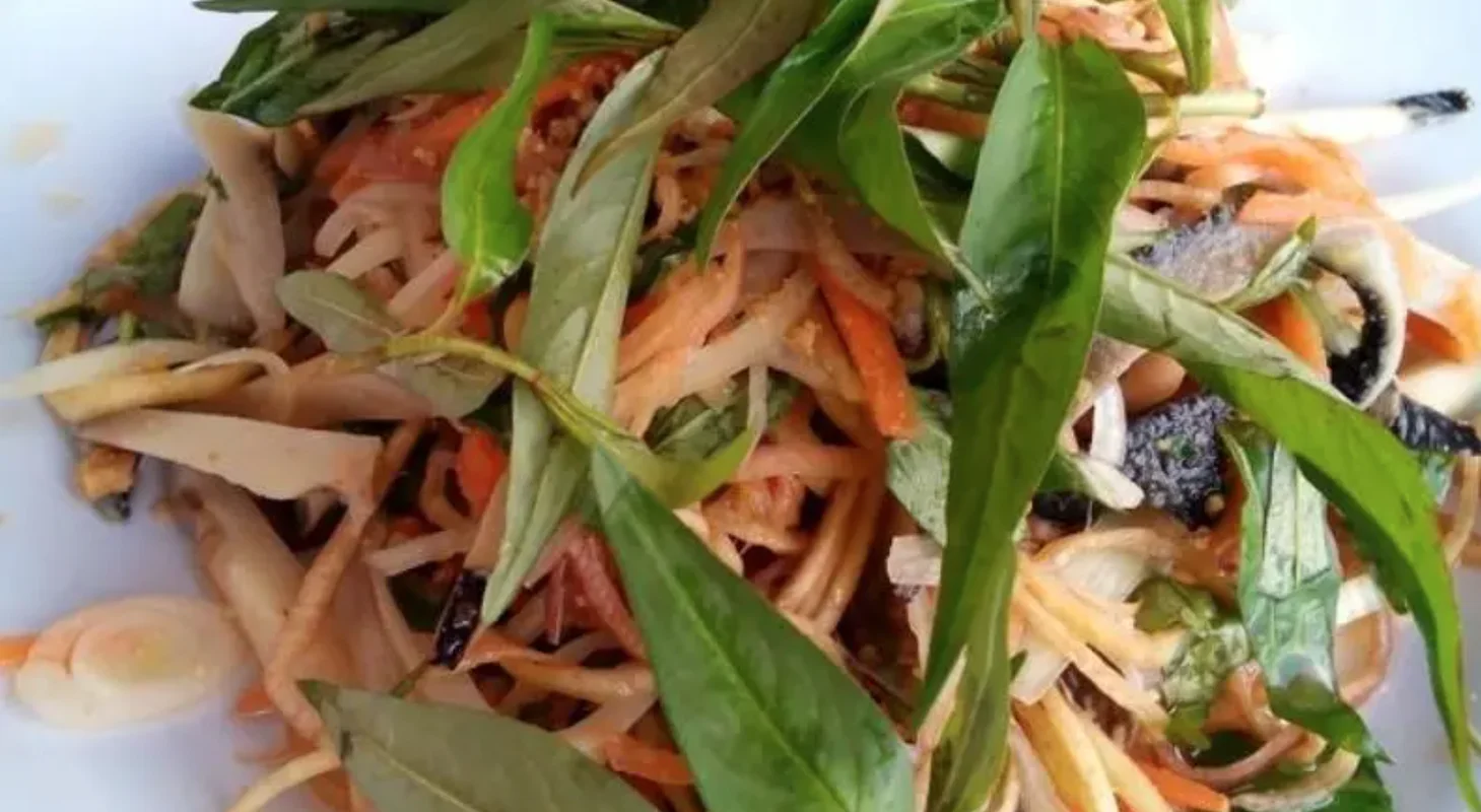 Cellana Shellfish: Discovering the Exotic Delicacy Known as Oc Vu Nang