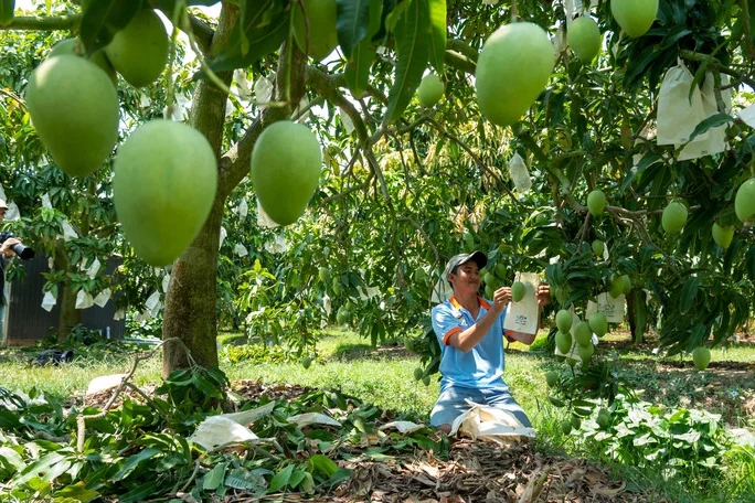 Unique Annual Experiences in Ho Van Cuong's Hometown