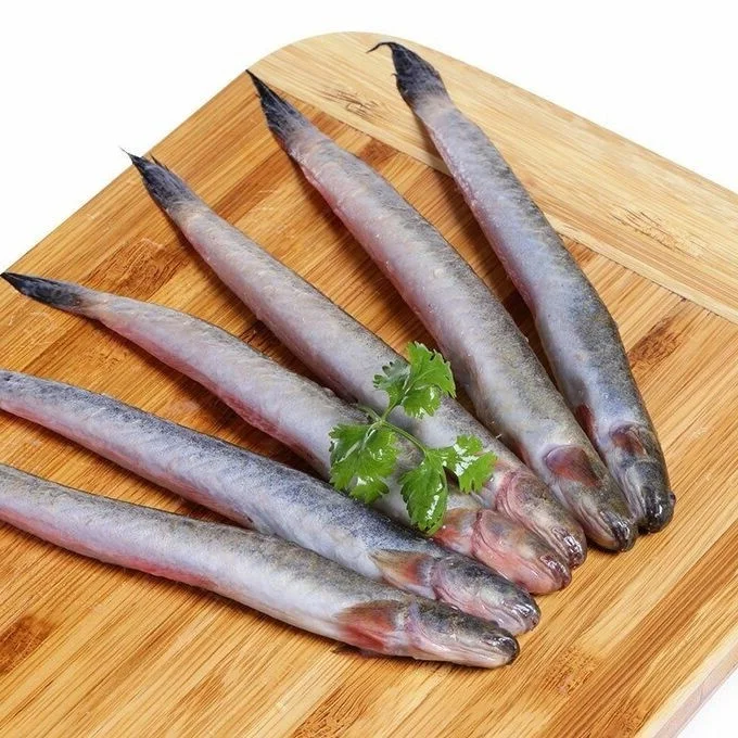 From Humble Beginnings to Luxury Delicacy: The Rise of High-Priced Specialty Fish