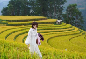 Chasing the Golden Season: The Surreal Beauty of Mu Cang Chai - image 3