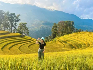Chasing the Golden Season: The Surreal Beauty of Mu Cang Chai - image 6