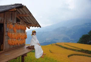 Chasing the Golden Season: The Surreal Beauty of Mu Cang Chai - image 4