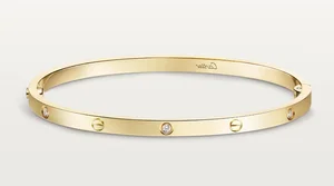 Luxury and Elegance: Miss Vietnam Do Thi Ha Shines with $40,000 Accessories - image 1