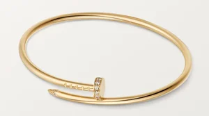 Luxury and Elegance: Miss Vietnam Do Thi Ha Shines with $40,000 Accessories - image 3