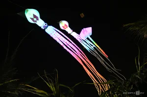 International Kite Festival in Quang Nam: A Sky Full of Colors - image 7
