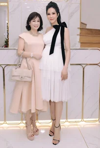 Diep Lam Anh Divorce Finalized: Settlement Details and Child Support Revealed - image 4
