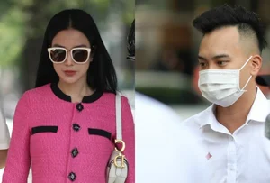 Diep Lam Anh Divorce Finalized: Settlement Details and Child Support Revealed - image 5