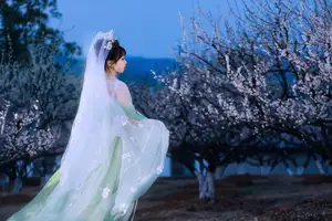YiTuYu Vol.8718: Zhou Zhou AY - Ethereal Hanfu Beauty Amidst Enchanting Night Blossoms - image 15