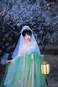 YiTuYu Vol.8718: Zhou Zhou AY - Ethereal Hanfu Beauty Amidst Enchanting Night Blossoms - image 0