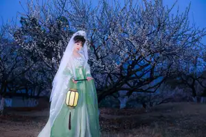 YiTuYu Vol.8718: Zhou Zhou AY - Ethereal Hanfu Beauty Amidst Enchanting Night Blossoms - image 6