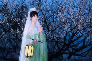 YiTuYu Vol.8718: Zhou Zhou AY - Ethereal Hanfu Beauty Amidst Enchanting Night Blossoms - image 16