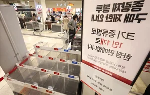 Why South Koreans Are Stockpiling Trash Bags Amidst the Global Energy Crisis - image 4