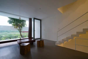 Stunning Townhouse Design Bringing Nature Indoors with Biophilic Architecture - image 2