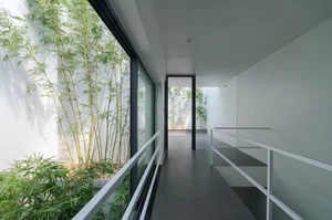 Stunning Townhouse Design Bringing Nature Indoors with Biophilic Architecture - image 1