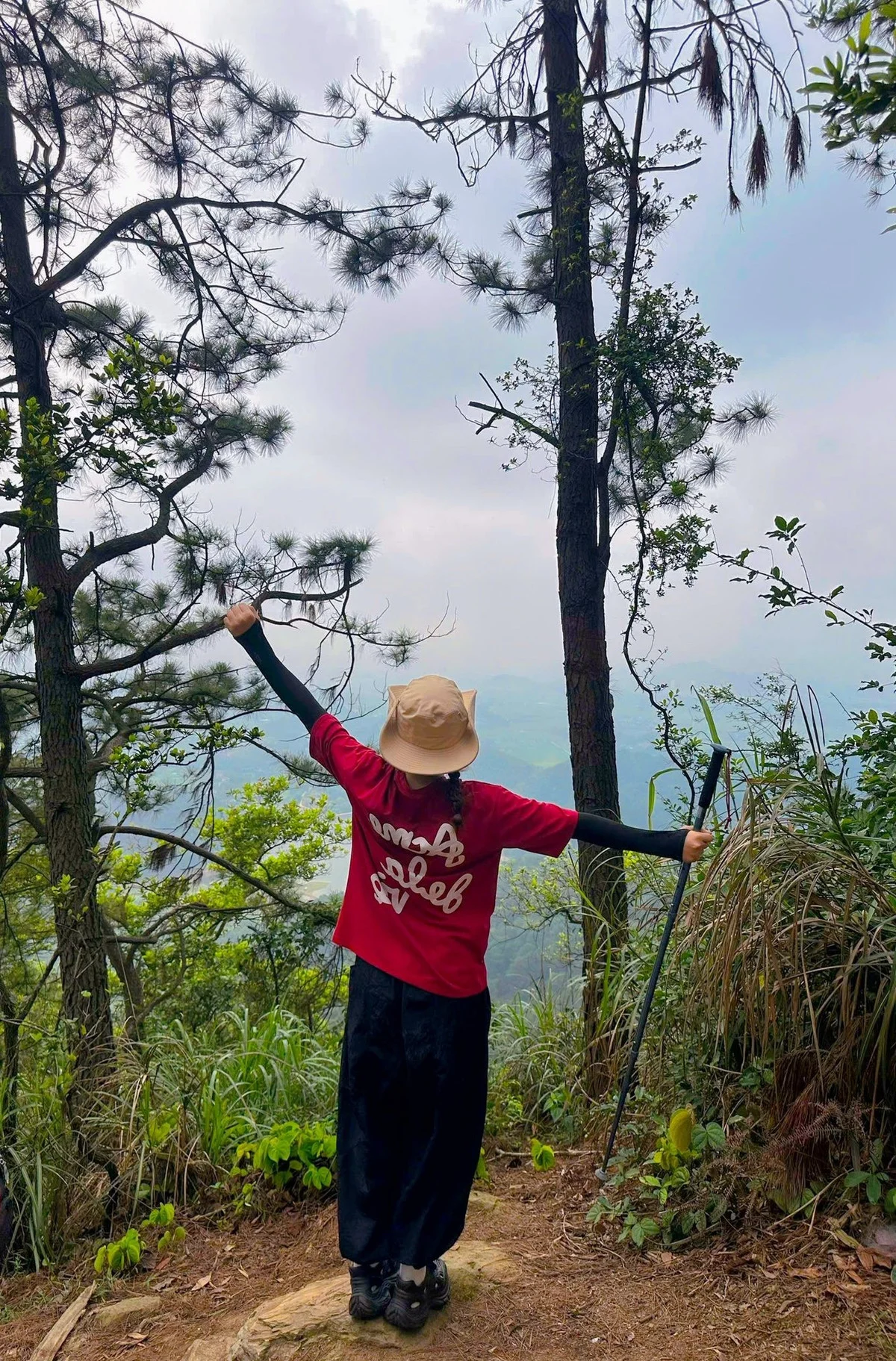 Trekking Ham Lon Mountain: Conquer the Roof of Hanoi and Escape into the Wild Pine Forests