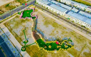Spectacular S-Shaped Map Flower Street Debuts in Kien Giang - image 3