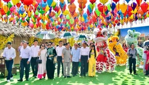 Spectacular S-Shaped Map Flower Street Debuts in Kien Giang - image 6