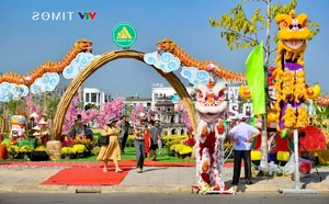 Spectacular S-Shaped Map Flower Street Debuts in Kien Giang - image 8