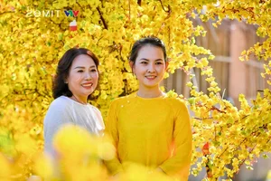 Spectacular S-Shaped Map Flower Street Debuts in Kien Giang - image 1