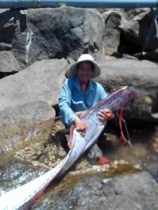 Rare Giant River Monsters Caught in Vietnam: A Look at Extraordinary Aquatic Discoveries - image 6