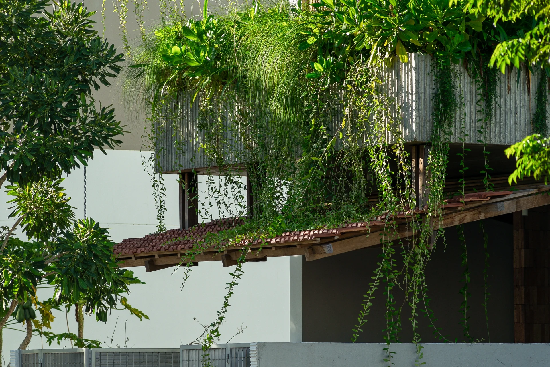 Modern Comfort Meets Rural Charm: The Unique 3-Story Green Villa in Da Nang