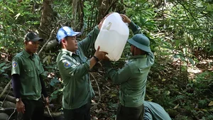 On the Frontlines: Forest Protection Forces Working Tirelessly to Remove Illegal Animal Traps and Preserve Wildlife - image 12
