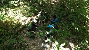 On the Frontlines: Forest Protection Forces Working Tirelessly to Remove Illegal Animal Traps and Preserve Wildlife - image 1