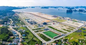 The Tycoon Behind the Shocking Mega-Wedding in Quang Ninh - image 7