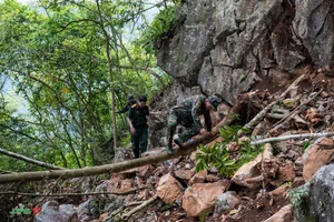 A Journey of Gratitude Across the Majestic Grey Rocky Highlands - image 9