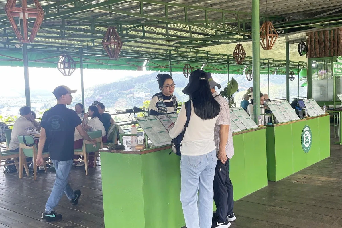 Da Lat Cafe Controversy: The 870,000 VND Bill Debate