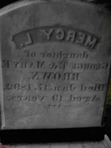 The Haunting Truth Behind the 19th Century Vampire Panic - image 8